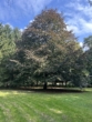 Garten mit Liegewiesen - Exklusives Reitanwesen mit Therapiezentrum in der Lüneburger Heide