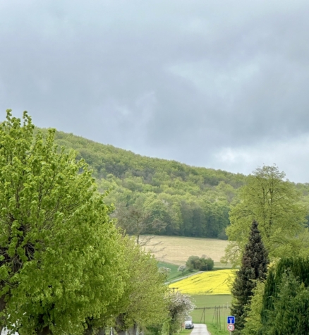 Eigentumswohnung im 1. Obergeschoss mit Garage in der Nähe von Alfeld, 31084 Freden, Etagenwohnung