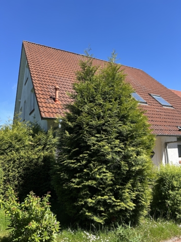 Lichtdurchflutetes Einfamilienhaus in bester Lage mit Garage, 31655 Stadthagen, Einfamilienhaus