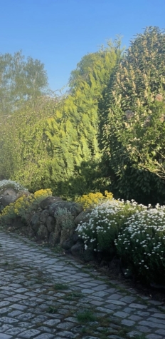 Einzigartiges Grundstück in bester Lage in Isernhagen K.B., 30916 Isernhagen, Grundstück