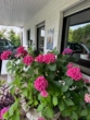 Eingangsbereich - Liebevolles Einfamilienhaus mit großzügigem Grundstück in Isernhagen K.B.