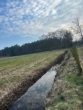 Wiesenbach - Traumhaftes Anwesen mit Pferdehaltung und vielfältigen Nutzungsmöglichkeiten in der Lüneburger Heide
