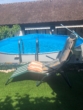 Gartenpool - Einfamilienhaus mit Pool und Garage in der Nähe von Ludwigsburg